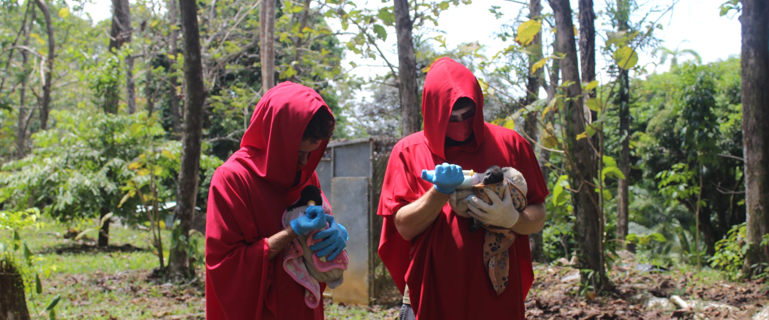 Two people carrying a cloth-wrapped animal at Alturas, Costa Rica
