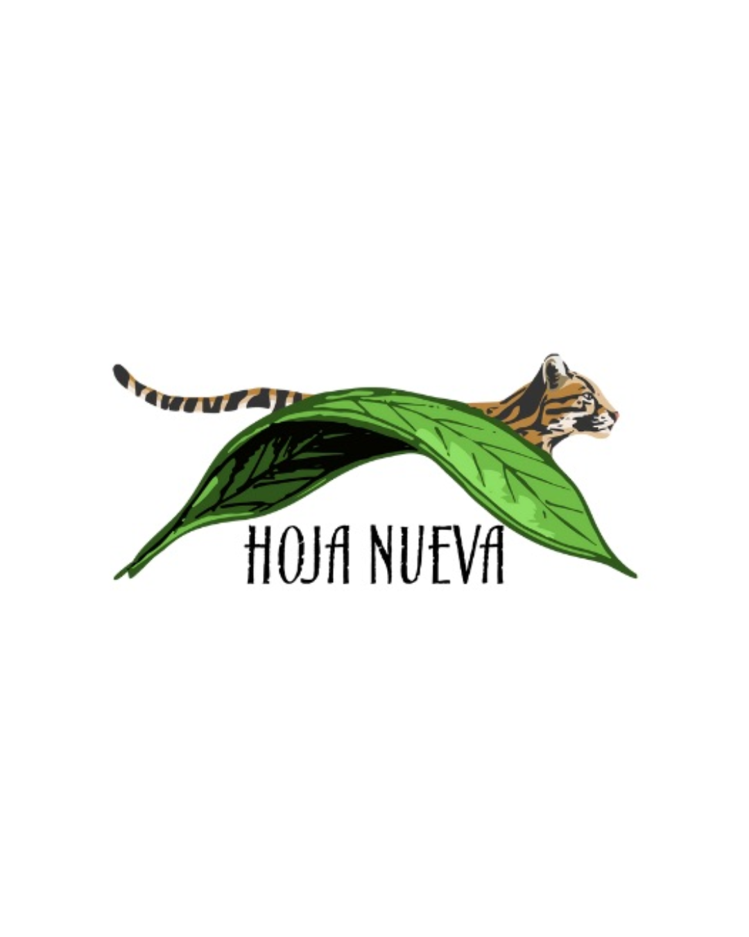 Hoja Nueva, Peru